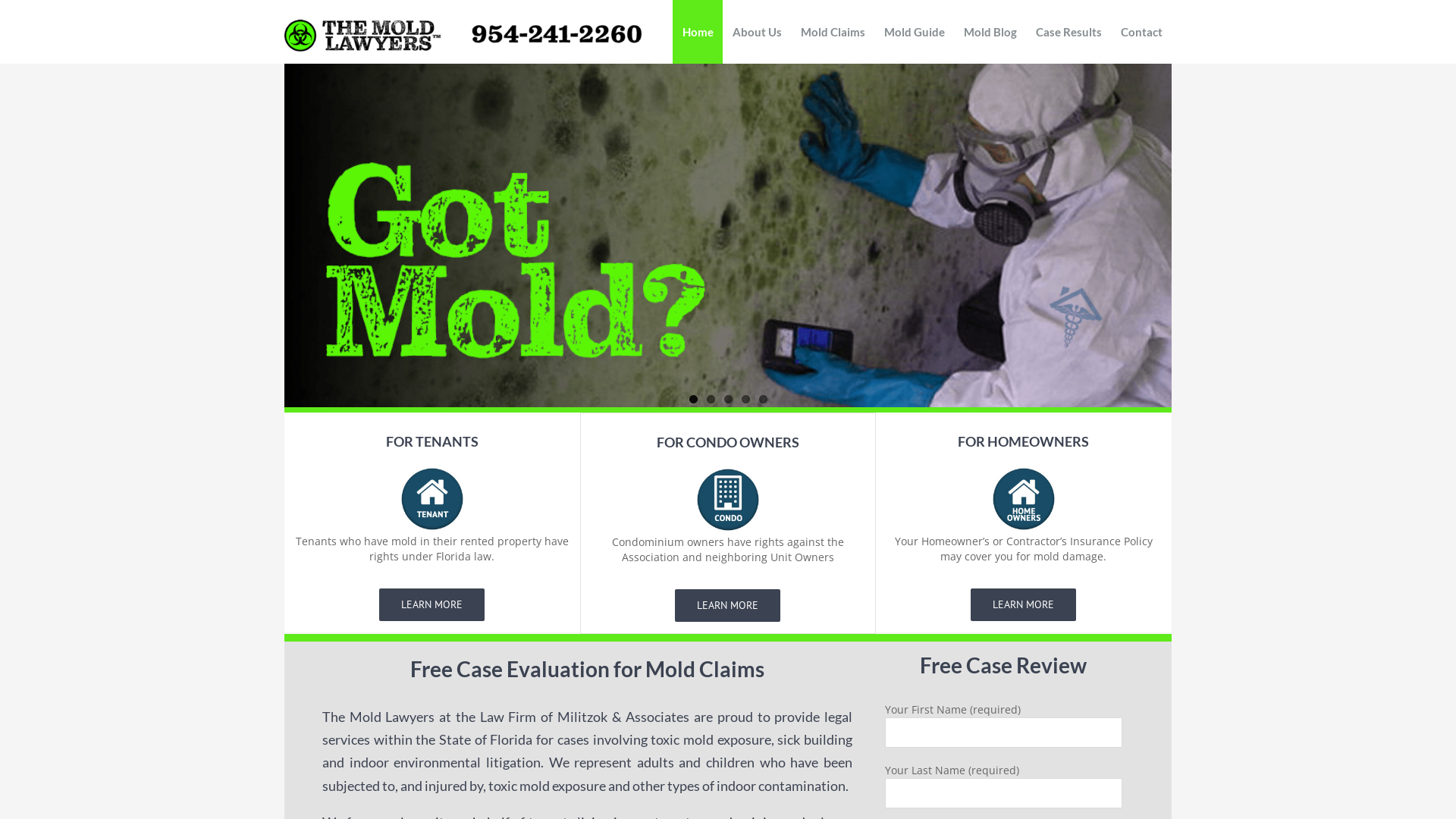 The Mold Lawyer